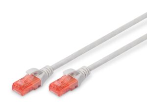 Digitus