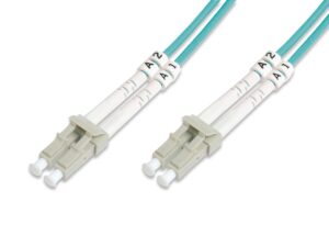 Digitus