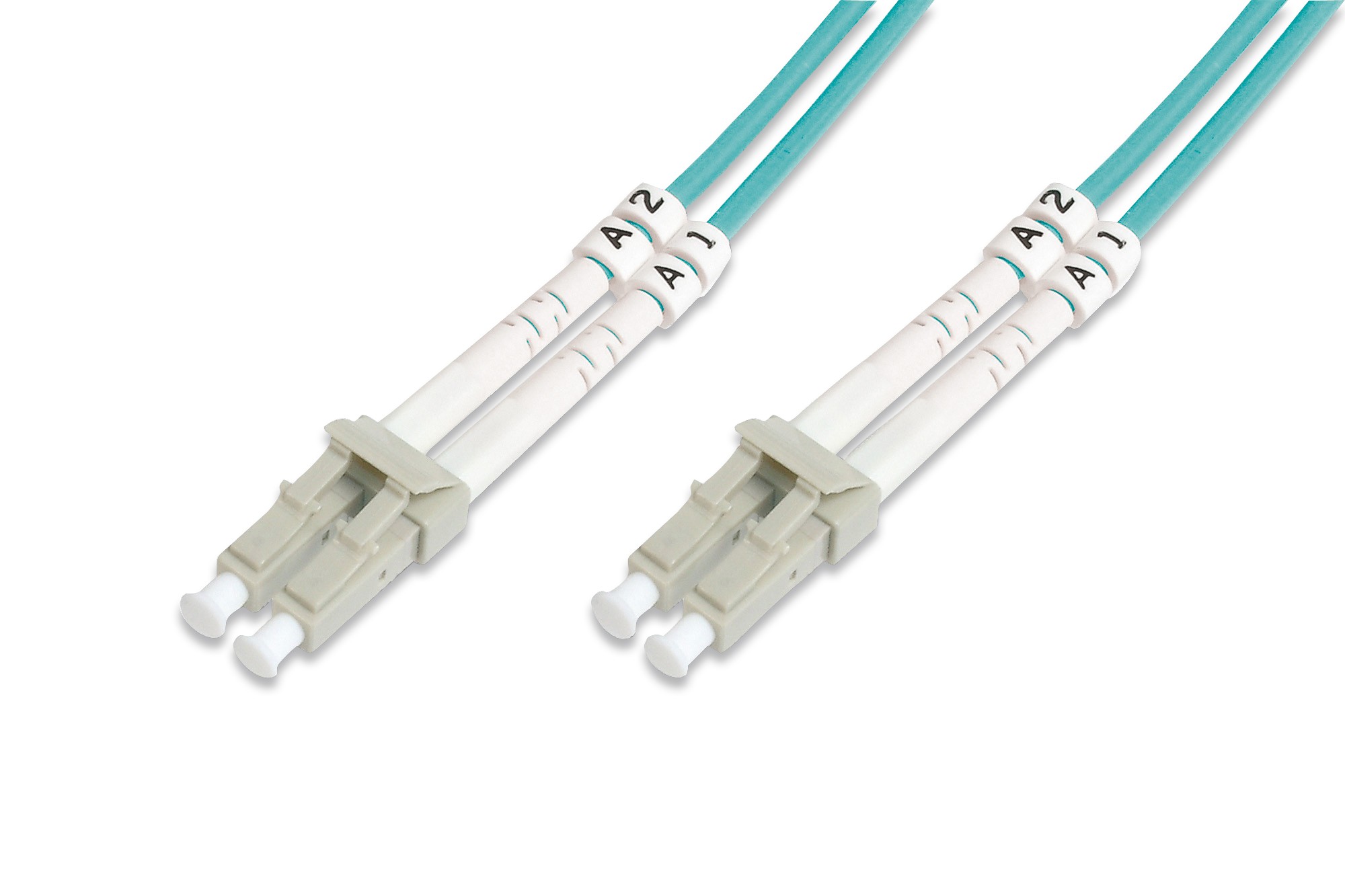 Digitus