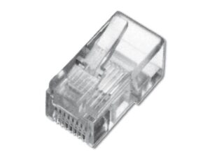 Digitus