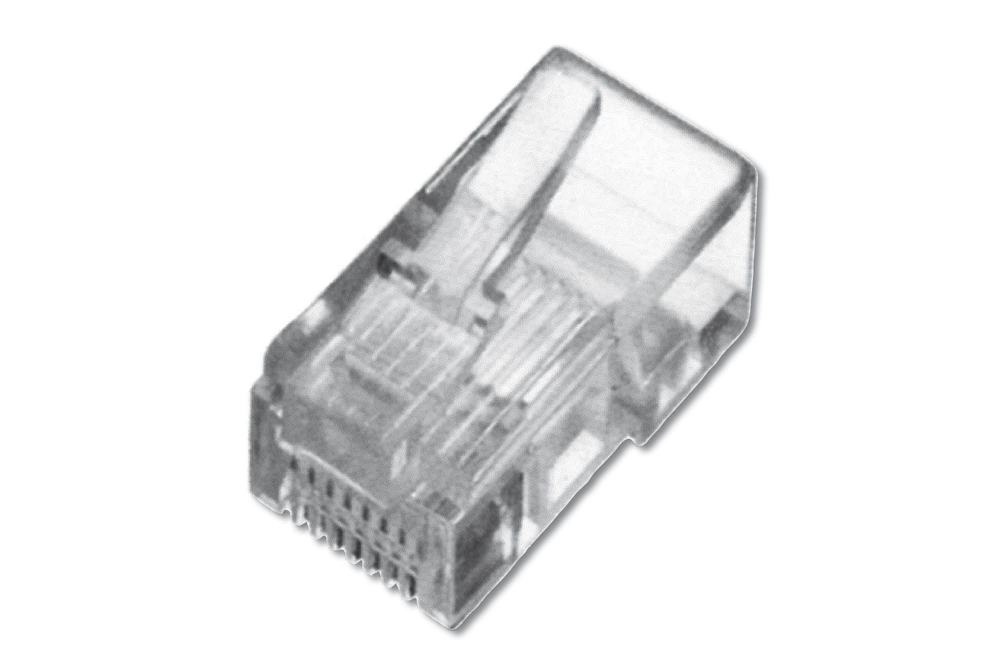 Digitus