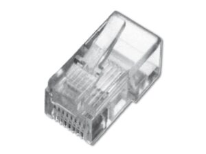 Digitus