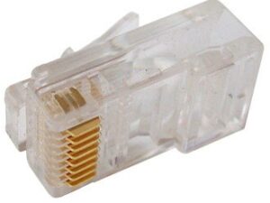 Digitus