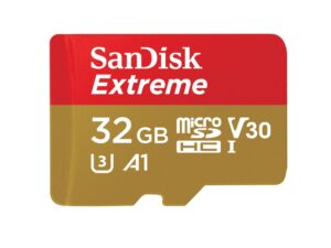 SanDisk Extreme 32 GB MicroSDHC UHS-I Classe 10